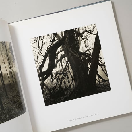 A TWENTY YEAR RETROSPECTIVE / Michael Kenna(マイケル・ケンナ)