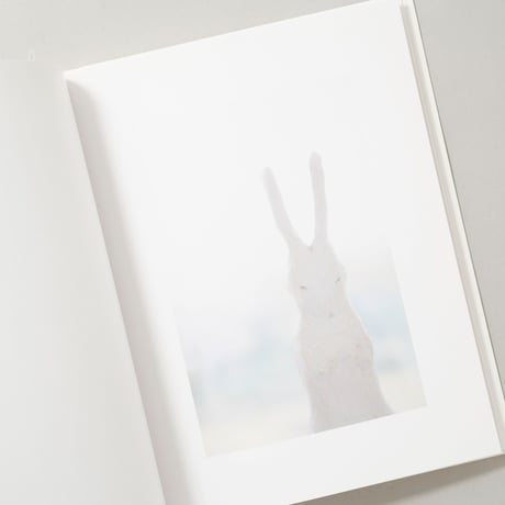 きらきら / 川内倫子(Rinko Kawauchi)、イマムラレイコ(Reiko Imamura)