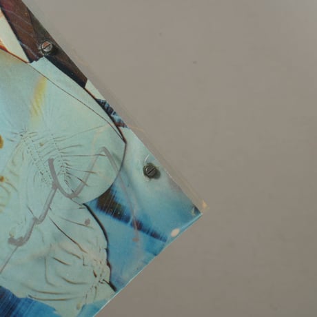 [サイン入/Signed] Sediment / 横田大輔(Daisuke Yokota)