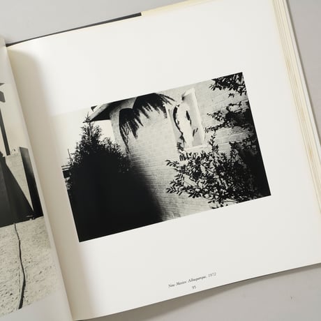 UNKNOWN TERRITORY / Ray K. Metzker(レイ・K・メツカー)
