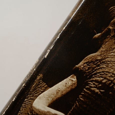 The End of the Game / Peter Beard(ピーター・ビアード)