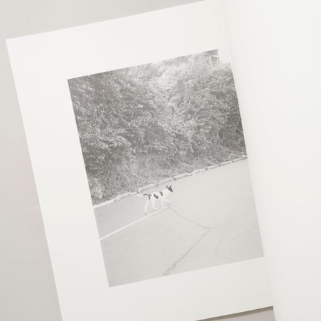 [新刊/New] 火曜日 / 富澤大輔(Daisuke Tomizawa)