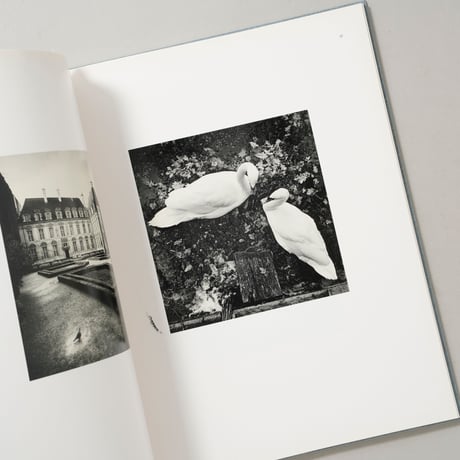 DES OISEAUX / Michael Kenna(マイケル・ケンナ)