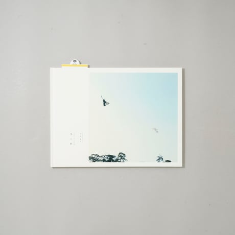 [サイン入/Signed] 光と影 / 川内倫子(Rinko Kawauchi)