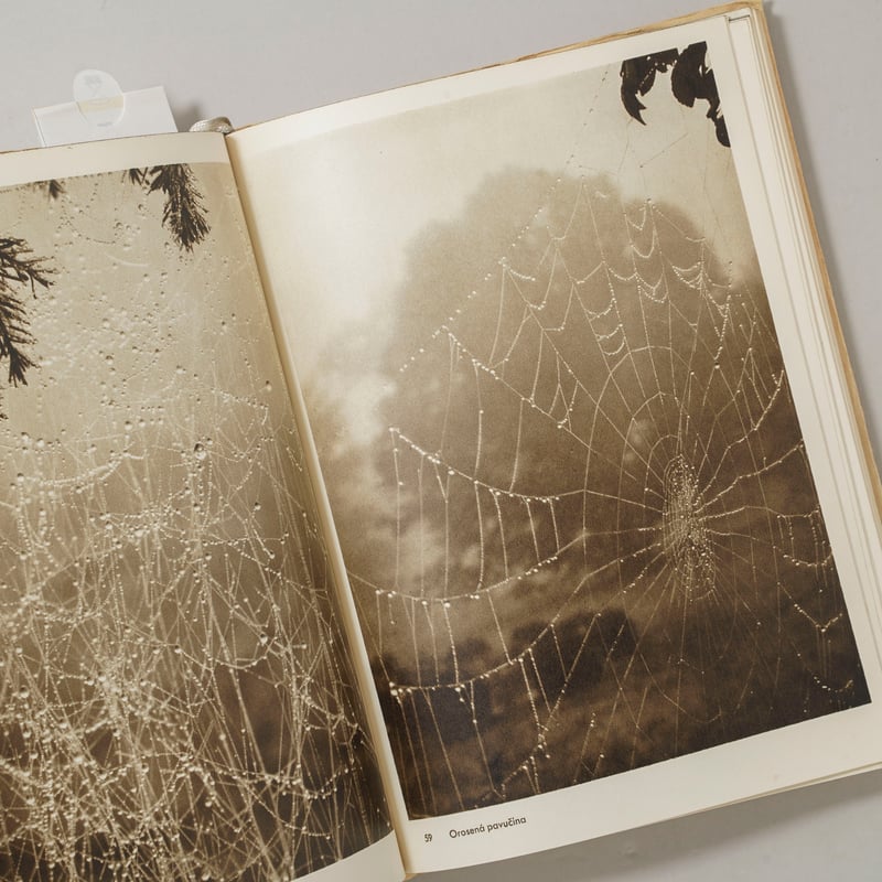 Josef Sudek Fotografie ヨゼフ スデック 作品集　初版 FOTOGRAFIE / Josef Sudek(ヨゼフ・スデック) | bookobscur