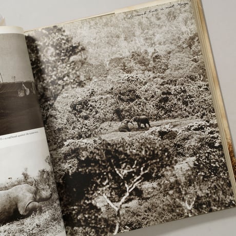 The End of the Game / Peter Beard(ピーター・ビアード)
