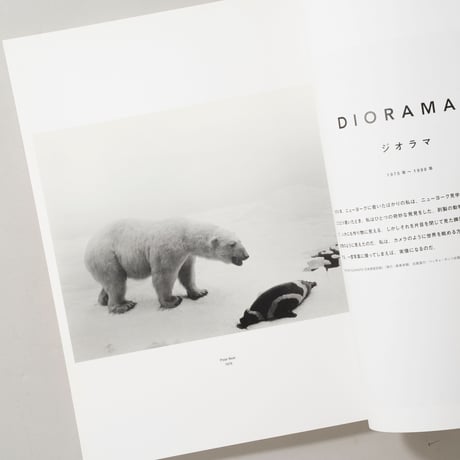 Photo GRAPHICA Vol.13 2008 Winter 現代美術と写真 特集 杉本博司 / 杉本博司(Hiroshi Sugimoto)