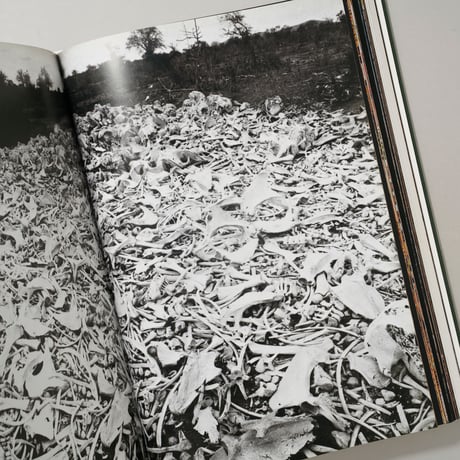 PETER BEARD (TASCHEN) / Peter Beard(ピーター・ビアード)