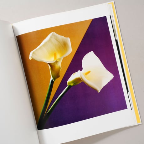 Flowers / Robert Mapplethorpe(ロバート・メイプルソープ)