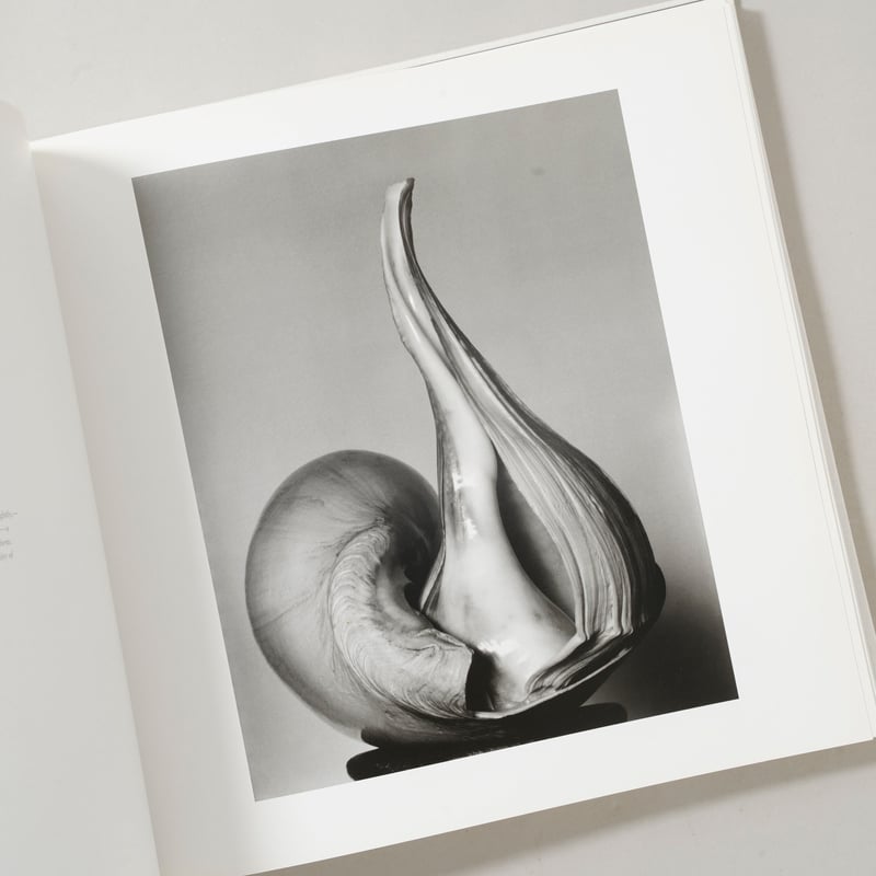 EDWARD WESTON 125 PHOTOGRAPHS 写真集 125 PHOTOGRAPHS / Edward Weston(エドワード・ウェストン) |