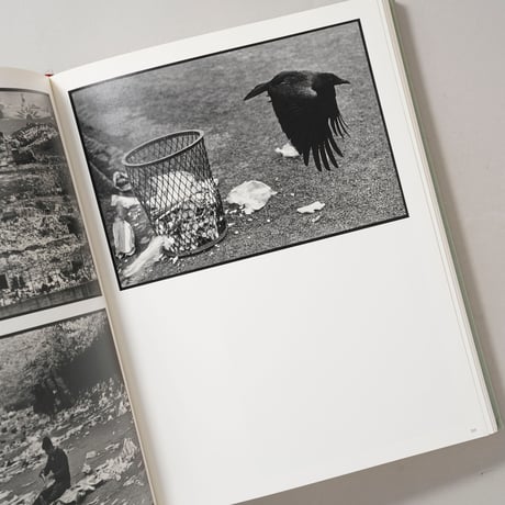MASAHISA FUKASE 赤々舎 / 深瀬昌久(Masahisa Fukase)