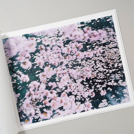 SAKURA / 鈴木理策(Risaku Suzuki)