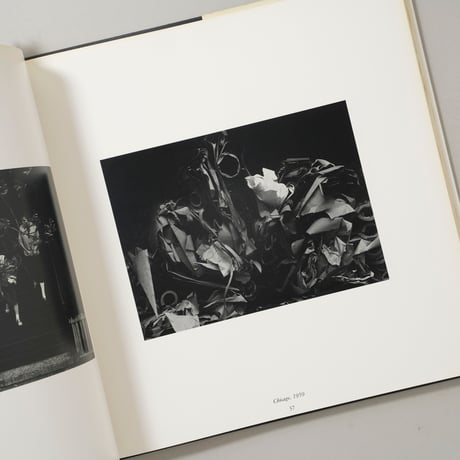 UNKNOWN TERRITORY / Ray K. Metzker(レイ・K・メツカー)