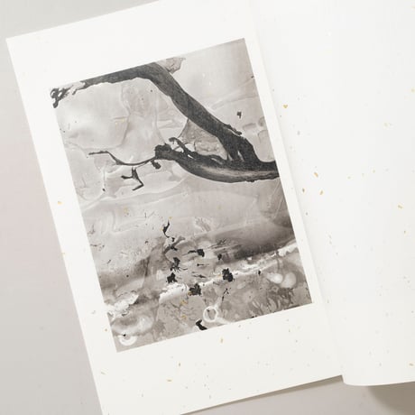 [サイン入/Signed] Print House Session 2019 complete 4 volumes set / 横田大輔(Daisuke Yokota)