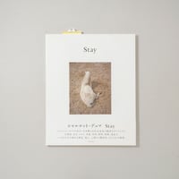 Stay / Charlotte Dumas(シャルロット・デュマ)