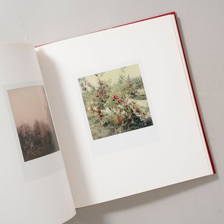 Die Polaroids The Polaroids / Sibylle Bergemann（ズィビレ・ベルゲマン）