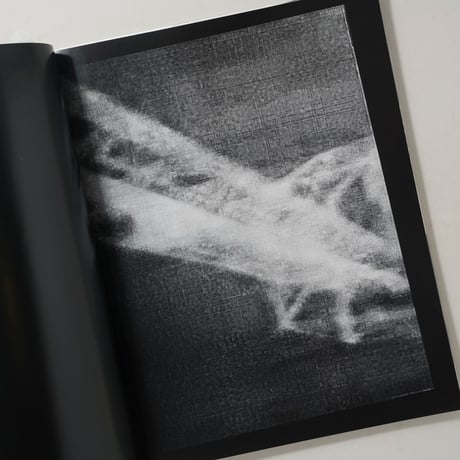 100 Bilder / 横田大輔(Daisuke Yokota)、滝沢広(Hiroshi Takizawa)、ヨシ・カメタニ(Yoshi Kametan)