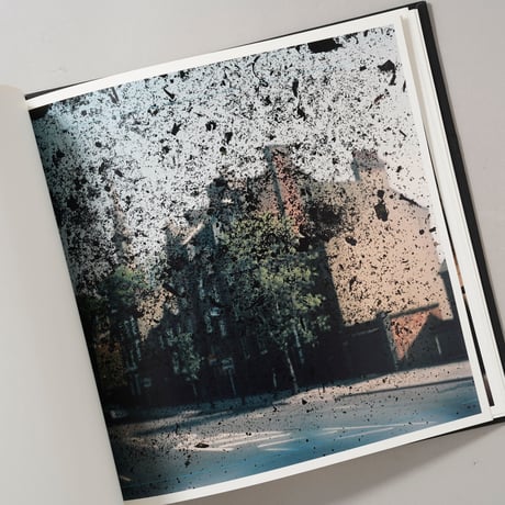 [サイン入/Signed] Talking to Ants / Stephen Gill(スティーブン・ギル)