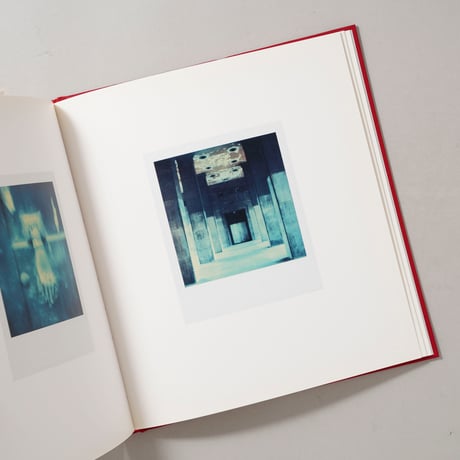 Die Polaroids The Polaroids / Sibylle Bergemann（ズィビレ・ベルゲマン）