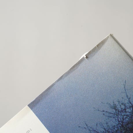 TOKYO1970 BY JAPANESE PHOTOGRAPHERS 9 (Ima photobooks)
