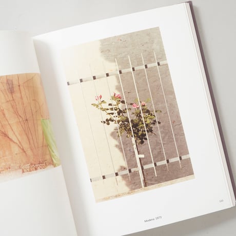 The Map and The Territory / Luigi Ghirri(ルイジ・ギッリ)