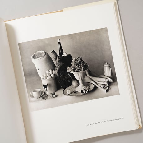 Irving Penn / Irving Penn(アーヴィング・ペン)