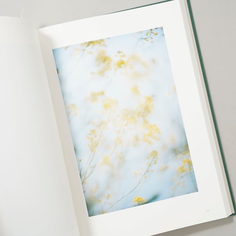 [サイン入/Signed] LUMIERE ルミエール / 瀧本幹也(Mikiya Takimoto)