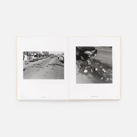 [新刊/New] LIFE STILL / Lee Friedlander(リー・フリードランダー)