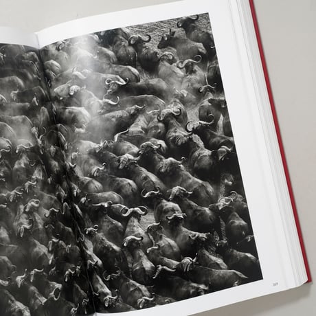 GENESIS / Sebastiao Salgado (セバスチャン・サルガド)