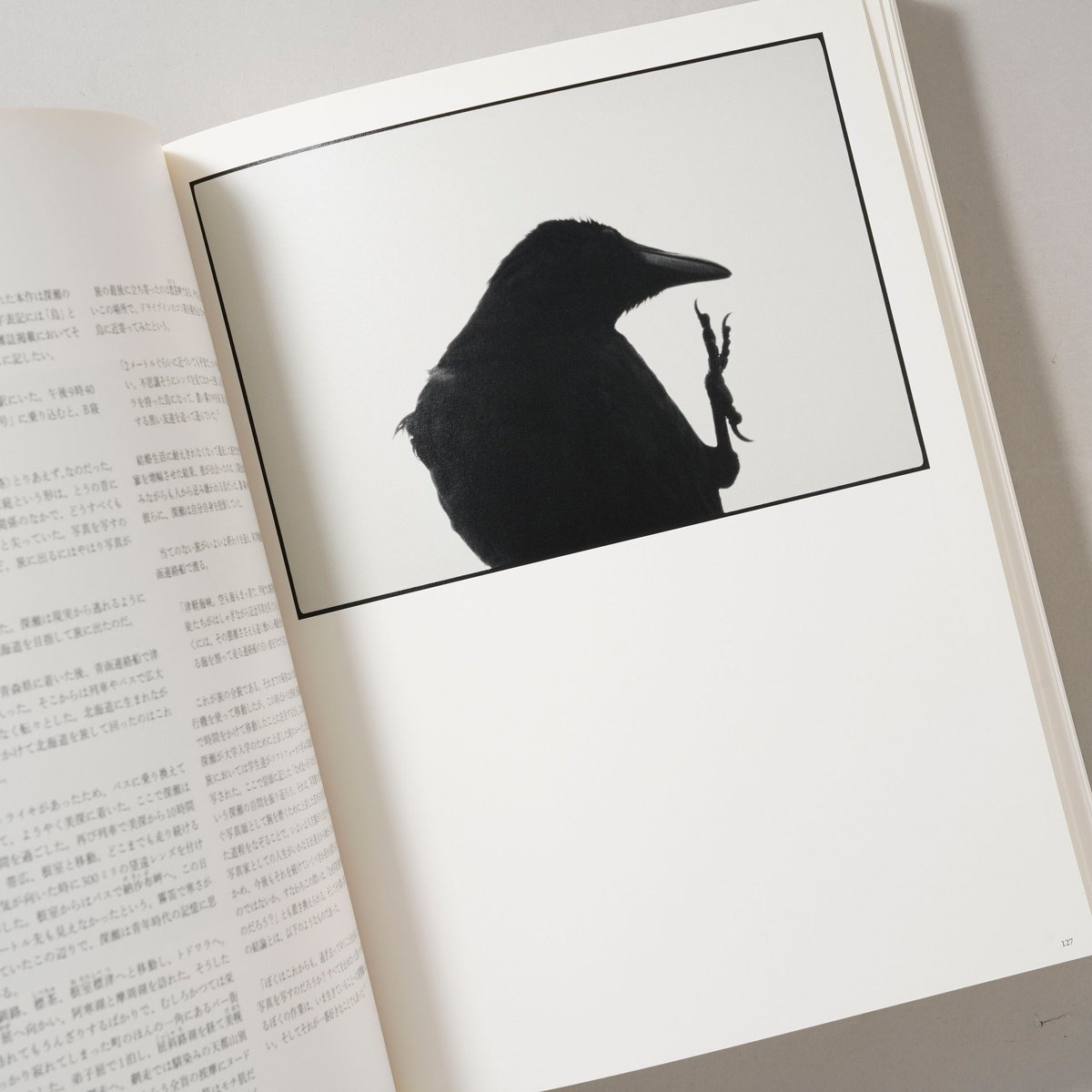 未開封　MASAHISA FUKASE　深瀬昌久　赤々舎 MASAHISA FUKASE 赤々舎 / 深瀬昌久(Masahisa Fukase) | bookobscura