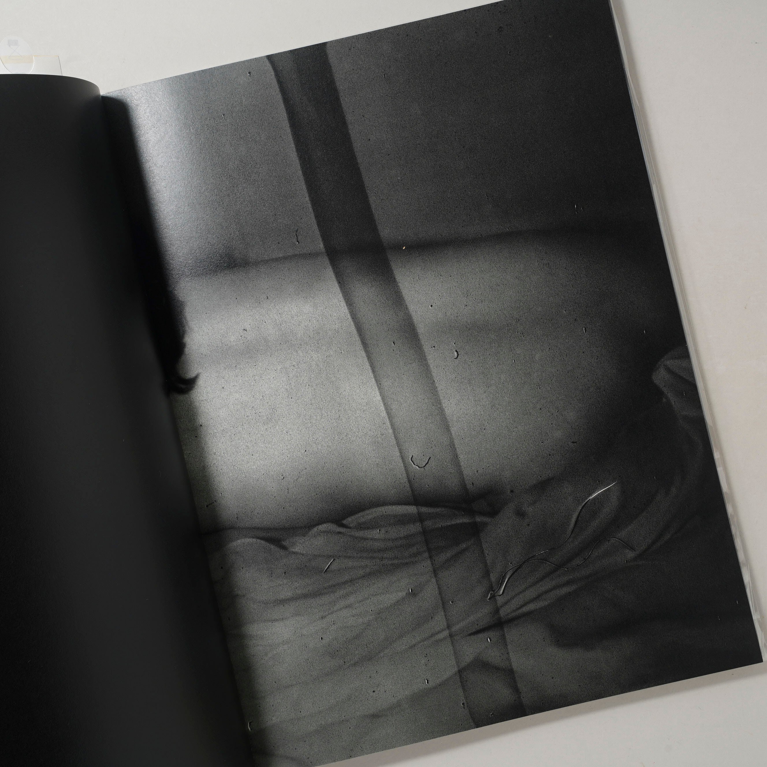 CORPUS 横田大輔　Daisuke Yokota CORPUS / 横田大輔(Daisuke Yokota) | bookobscura｜写真集