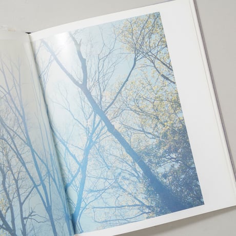 Des oiseaux (On birds) / 川内倫子(Rinko Kawauchi)