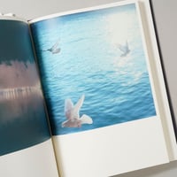 Illuminance: The Tenth Anniversary Edition / 川内倫子(Rinko Kawauchi)