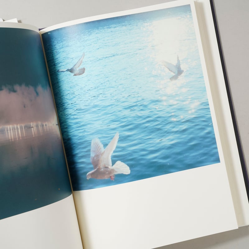 CATEGORY ー snap | bookobscura｜写真集専門書店｜写真家による写真集