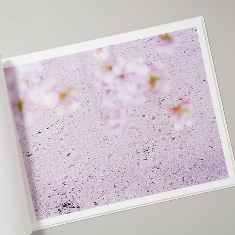 SAKURA / 鈴木理策(Risaku Suzuki)