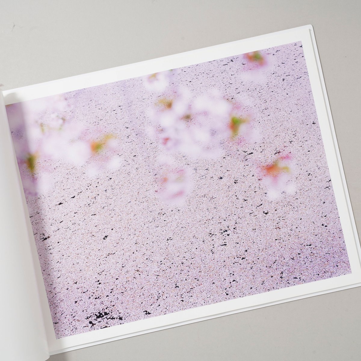 SAKURA / 鈴木理策(Risaku Suzuki) | bookobscura｜写真集専