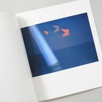 幻影 ILLUSION (函付・日本語版カバー) / 植田正治(Shoji Ueda)