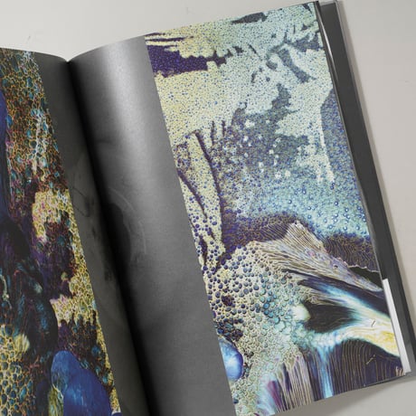[横田大輔サイン入/Signed] 3AM / AM projects:横田大輔(Daisuke Yokota)、 Laura Rodari(ローラ・ロダリ)他