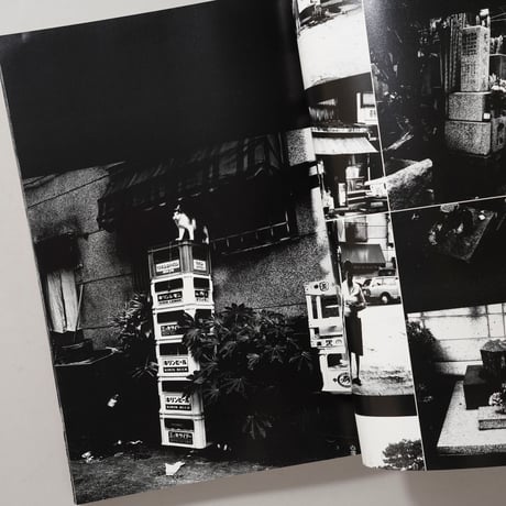 過去 / 荒木経惟(Nobuyoshi Araki)