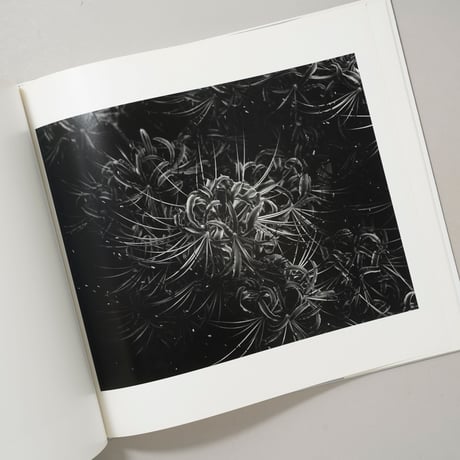 [サイン入/Signed] Tetsuyu Shiraishi 2005–2008 / 白石哲雄(Tetsuyu Shiraishi)