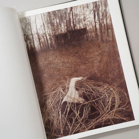 The Architect's Brother / Robert & Shana Parkeharrison(ロバート&シャナ・パークハリソン)