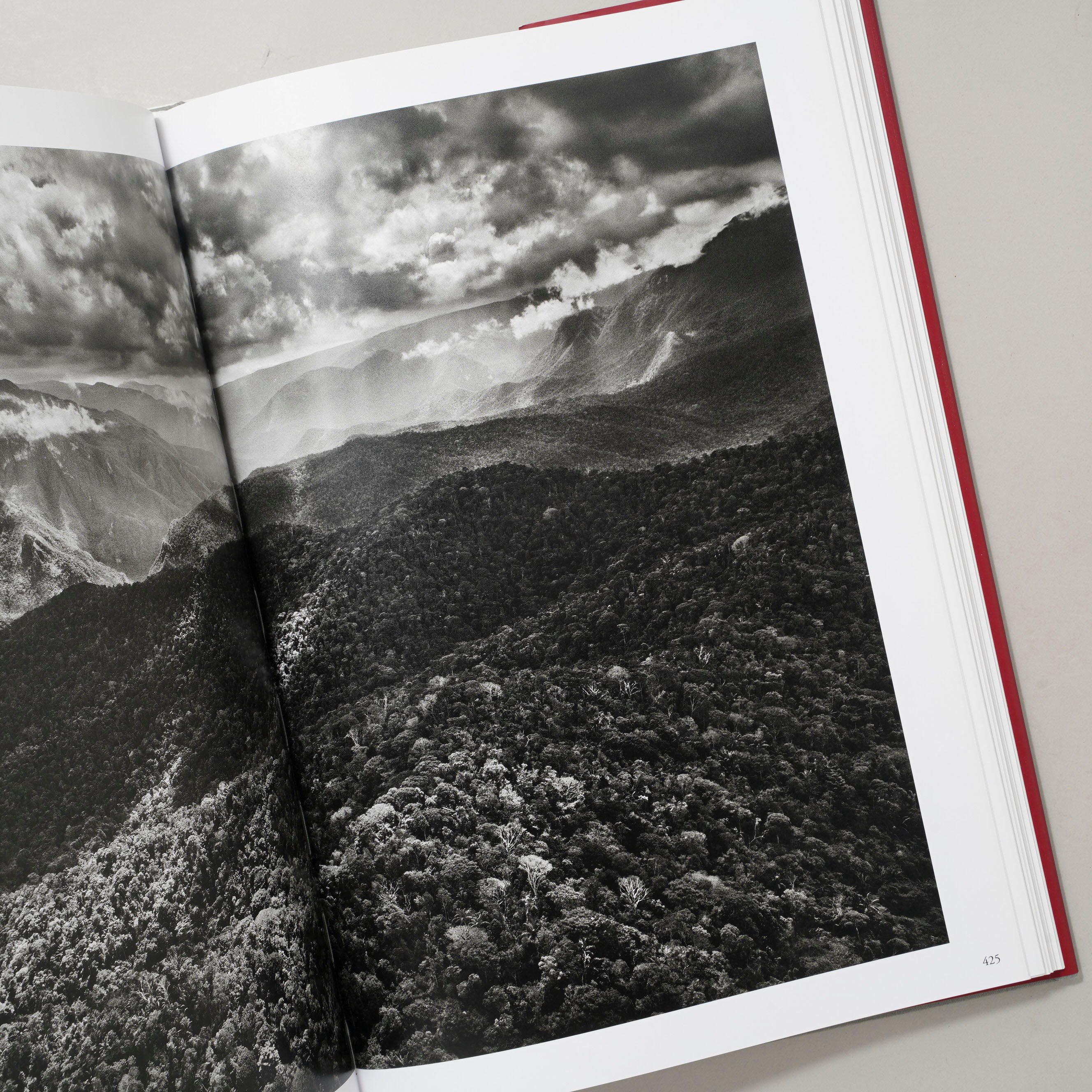 GENESIS / Sebastiao Salgado (セバスチャン・サルガド) | boo