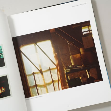 James Welling: Monograph / James Welling(ジェームズ・ウェリング)