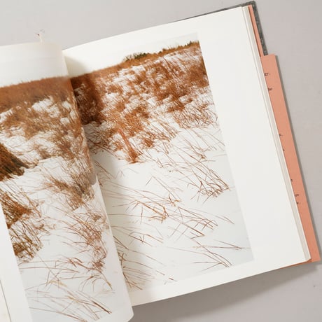 [サイン入/Signed] REDHEADED PECKERWOOD / Christian Patterson(クリスチャン・パターソン)