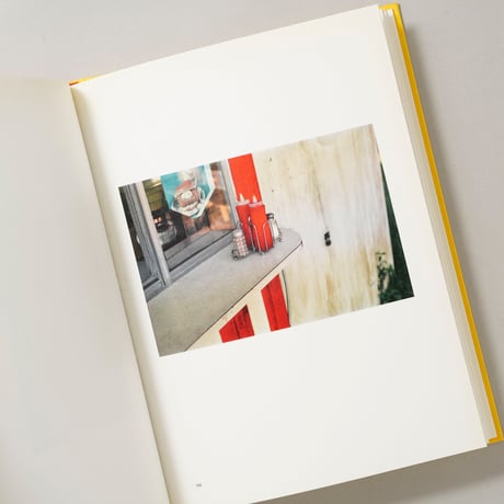 From Black and White to Color / William Eggleston(ウィリアム・エグルストン)
