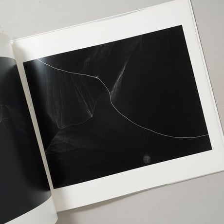 [サイン入/Signed] Tetsuyu Shiraishi 2005–2008 / 白石哲雄(Tetsuyu Shiraishi)