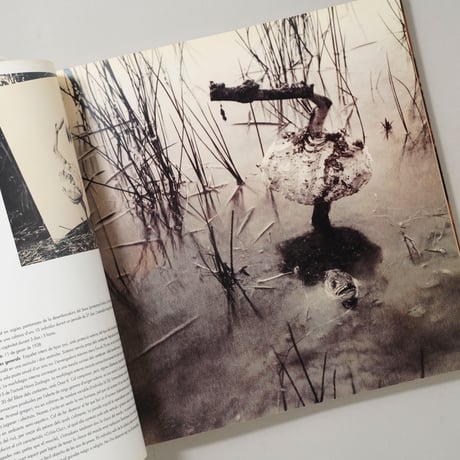 Historia Artificial / Joan Fontcuberta(ジョアン・フォンクベルタ)