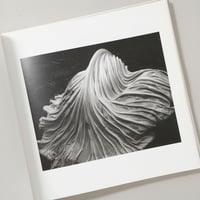 125 PHOTOGRAPHS / Edward Weston(エドワード・ウェストン)