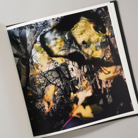 [サイン入/Signed] Talking to Ants / Stephen Gill(スティーブン・ギル)