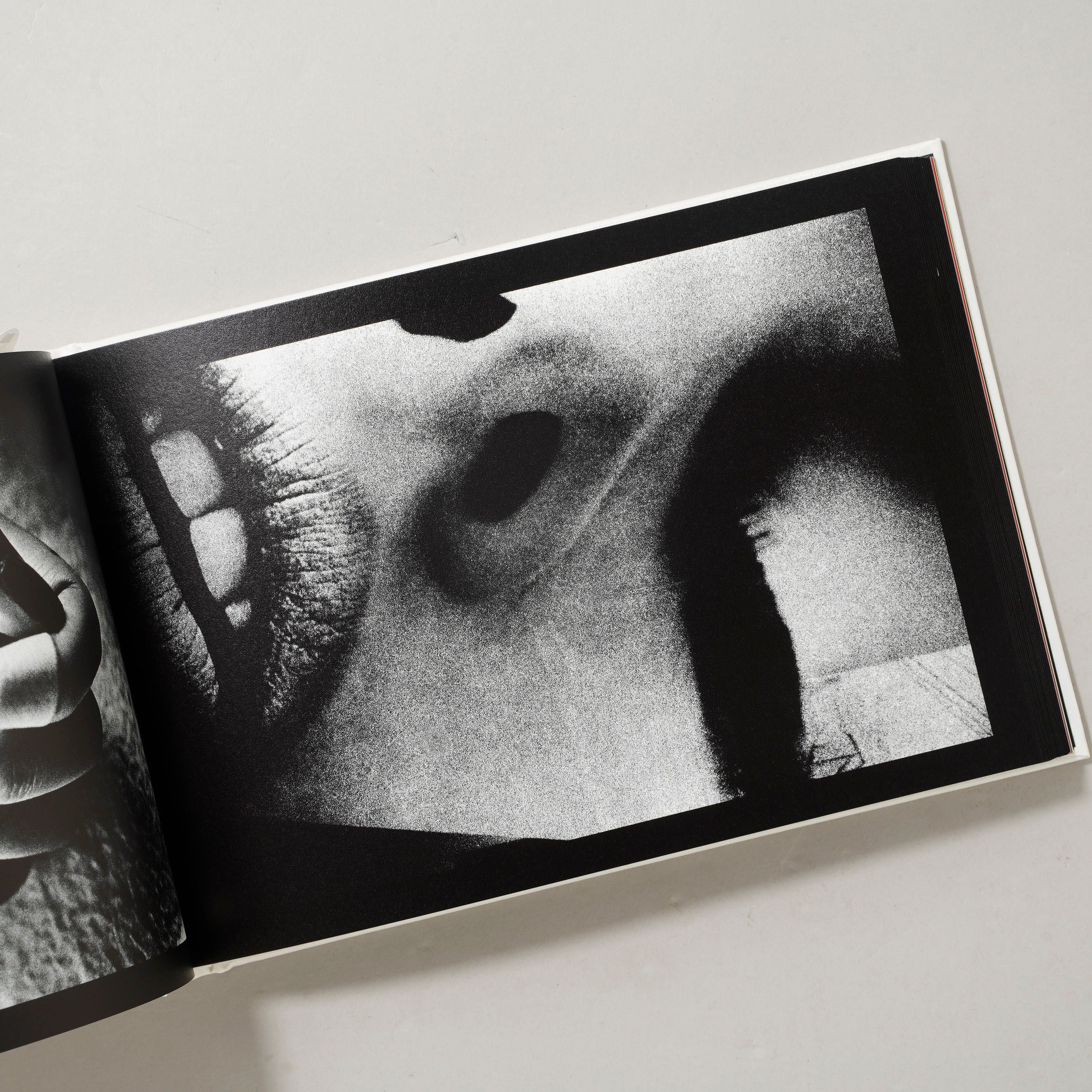 (サイン入) Daido Slide Daido Moriyama DAIDO SLIDE MXM / 森山大道(Daido Moriyama) | bookob